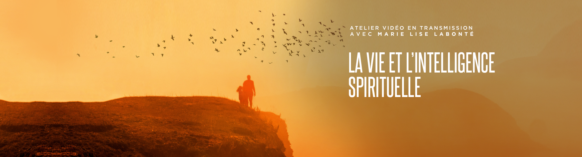 ATELIER : LA VIE ET L’INTELLIGENCE SPIRITUELLE