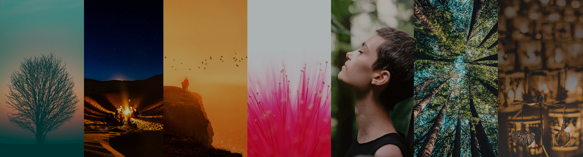 FORMATION : INTÉGRATION MÉMORIELLE ANSCHMA©